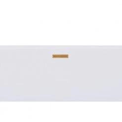 HYDRO SYSTEMS Linear Integral Waste and Overflow in Brushed Brass