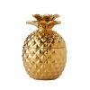 SKL Home Gilded Pineapple Cotton Jar, Stoneware, Gold