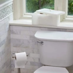 Unbranded Lithgow Freestanding Toilet Paper Storage Container in White 6 Unbranded Lithgow Freestanding Toilet Paper Storage Container in White -Bathroom Accessories Sales parchment bathroom storage containers v0068000170004 4f 1000