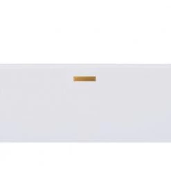 HYDRO SYSTEMS Linear Integral Waste and Overflow in Polished Brass